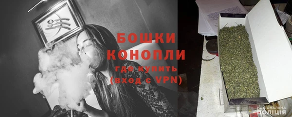 ешки Горняк