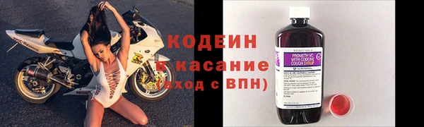 ешки Горняк
