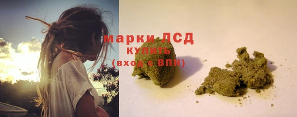 мдпв Горнозаводск