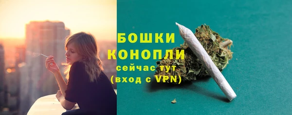 мдпв Горнозаводск