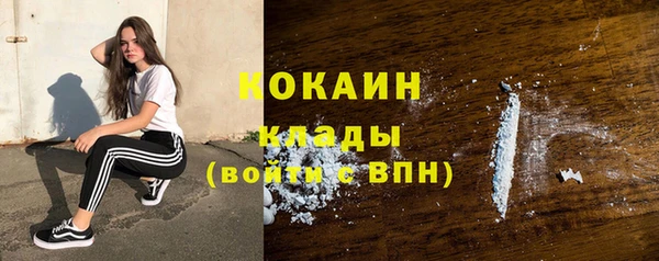 ешки Горняк