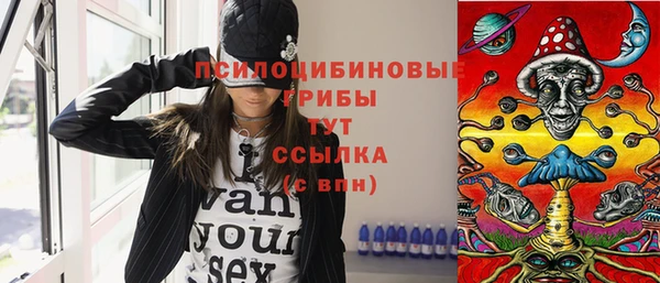 мдпв Горнозаводск