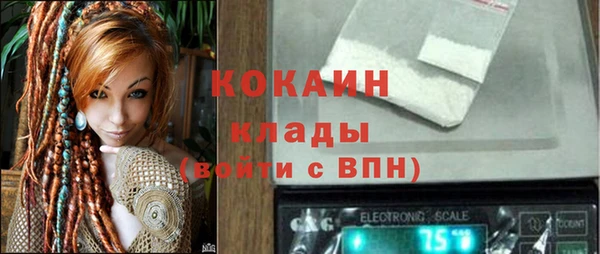 ешки Горняк