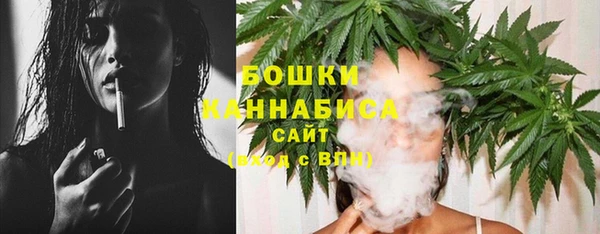 ешки Горняк