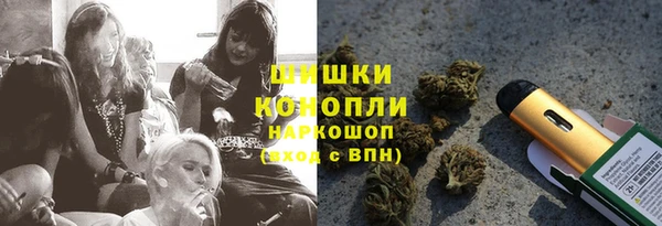 ешки Горняк
