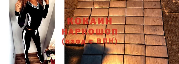 ешки Горняк