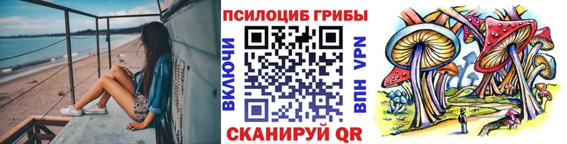 Галлюциногенные грибы Psilocybe  Купить где  Белинский 